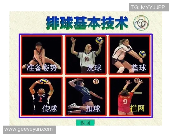 武汉排球队技术揭秘：排球巨献背后的训练与战术分析