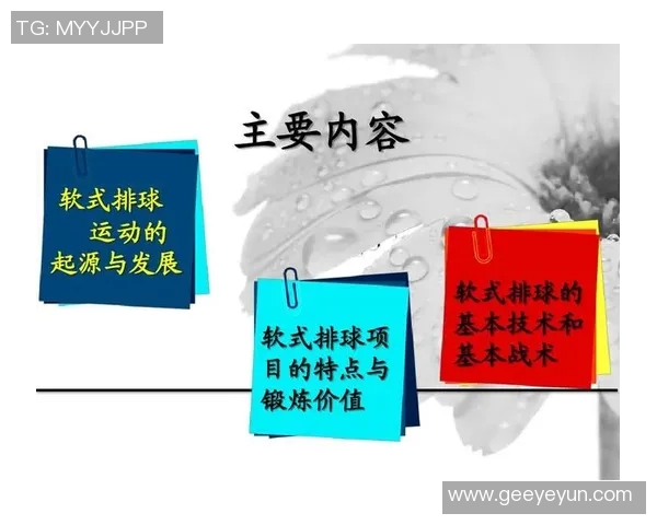 上海排球队的战术转型与深度解析探索排球运动的未来发展之路